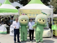 강레오 셰프도 반한 ‘곡성멜론’