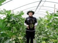 MASTER’s CHOICE 곡성멜론 첫 수확