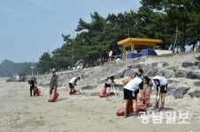 1전비, 동호해수욕장 환경정화활동