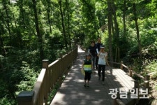 보성 제암산자연휴양림 더늠길, 걷기 좋은길 선정