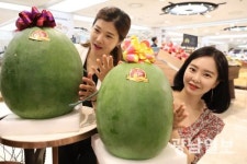 ‘광주 명물’ 무등산 수박 첫선