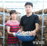 ‘맛·영향 으뜸’ 강진 표고버섯 ‘인기’