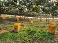 진도군, 25일 소비자와 함께하는 팜파티 개최