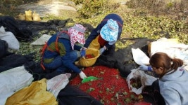 구례군, 가을 농촌일손 돕기 대대적 추진