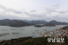 [전라도 섬을 가다]‘바다의 산삼’ 전복 세계화 이끈 완도 노화도
