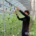 전남대 인큐베이션 팜으로 청년창업농 양성