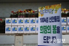 1004섬 신안 , 튤립꽃 1만송이 대구·경산에 전달