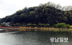 장흥군, 다채로운 볼거리 블루경관 조성 ‘호평’