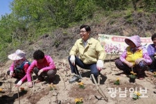 보성 600사업, 동네 가꿔 ‘마을공동체’ 부활