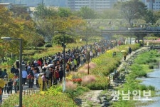 장성군, 지난해 방문객 10.8% 증가