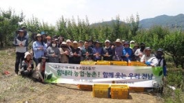 전남도의회, 매실 수확 ‘구슬땀’