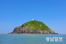 신안 오도섬에 천연기념물 '매' 번식