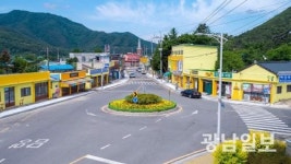 [사진뉴스]노랗게 물든 장성