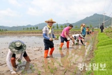 장흥군, 친환경 농수산물로 농가소득 향상 이끈다
