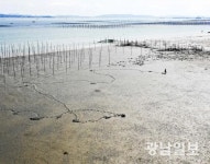 무안갯벌낙지 맨손어업 홍보관 설치
