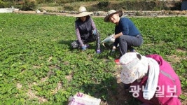 여수시, 금오도 버들인마을 참가자 모집