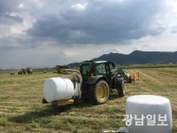 보성군, 구례 축산농가에 조사료 220t 기부