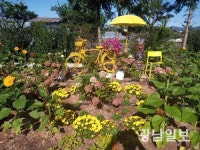 장성 마을정원, 도심 곳곳 물들인다
