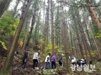 서울대남부학술림 청소년 숲체험교육 실시