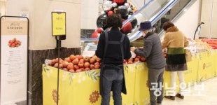 광주신세계, 13일까지 ‘장성 농수산물 직거래 장터’