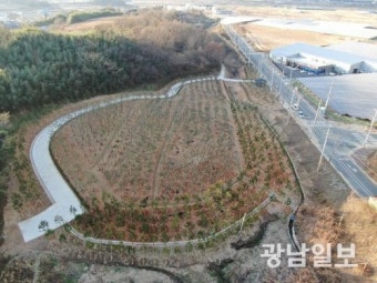 강진산단 ‘공기정화숲’ 조성 완료