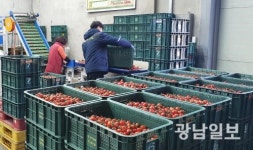 능주농협, 생산자조직 연도대상 본상 수상