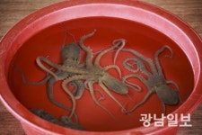 무안군, 갯벌낙지목장 조성 ‘박차’