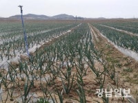 무안군, 유기인증 농가 농작물 재해보험료 전액 지원