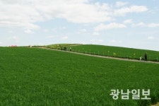 해남군, 황산면 일원 꽃단지 조성