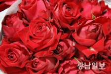 강진군 청자골 장미, 2차 온라인 화훼 특별 기획전