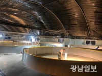 신안 증도면 화도, 대규모 새우종자 배양장 건립