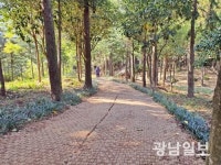장흥군, 정남진 편백숲 우드랜드 봄맞이 새 단장