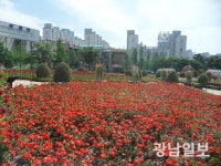 광양시 장미동산, 힐링공간으로 각광