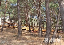 구례군, 지리산정원 솔숲 힐링쉼터 조성