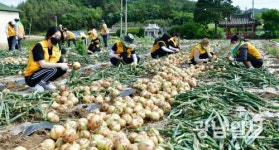 광주여자대학교 농촌일손돕기 마음나눔 사회봉사