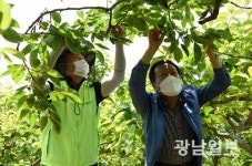 농협 광주본부, 농촌일손돕기