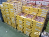 장성체리 도매시장 첫 입점 눈길