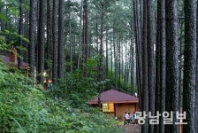 광양 백운산자연휴양림 대한민국 안심여행지로 추천