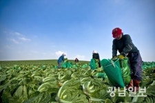 해남군, 채소류 출하조절시설 건립 공모 선정