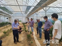 곡성군, 재배기술 이론 교육·현장 컨설팅 실시