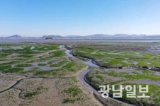 유네스코 세계자연유산센터 신안이 최적지