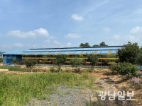후기