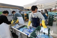 광주 자치구 ‘재활용 정책’ 제각각