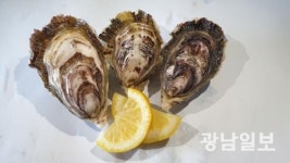 친환경 ‘신안1004굴’, 신세계백화점 첫 납품