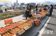 구례군, 23일부터 ‘구례 감 특별 직거래 장터’ 운영