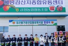 전남농협, 영암 대봉감 산지종합유통센터 준공