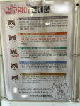 고양이 좀 잡으세요 세종시 아파트에 붙은 안내문 두고 시끌