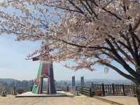 대동부분위탁급식 | [특별기획 대동의 봄날] ④ 너나우리 대동에서 웃자 : '진짜 대동'을 향한 발걸음