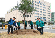 [포토] 설동호 교육감 식목일 맞이 정이품송 자목 식재