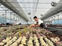 [금강일보-대전시 공동기획:2024 대전 청년을 말하다] 대전 대표 청년농 정광조 더피다 대표